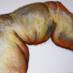 AurantiacoDigitumCrustacea