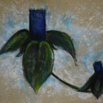 Construction_255x330