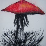 Mushroom05_297x210mm