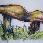 Mushroom06_210x297mm