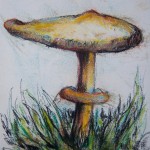 Mushroom07_297x210mm