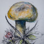 Mushroom09_297x210mm