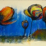 NatureEnVille_690x290