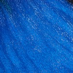 NousSommesLesTemoinsDeNotrePresent_detail02