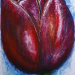 Tulipe_100x70