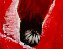 Triptyque : &ldquo;Coquelicot&rdquo;