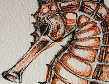 &ldquo;Hippocampe #01&rdquo;