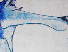 &ldquo;Loup&rdquo;
