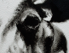 &ldquo;La vache #01&rdquo;