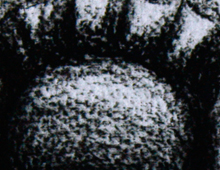&ldquo;La Reine&rdquo;