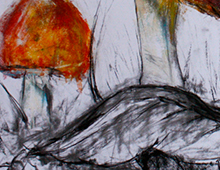 &ldquo;Colorus fungos&rdquo;