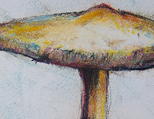 &ldquo;Mushroom #07&rdquo;