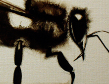 &ldquo;L’abeille&rdquo;