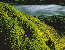 Agence de l'eau