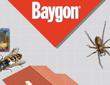 Baygon