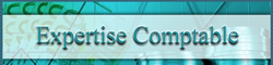 Expertise comptable