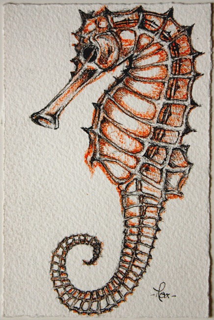 Hippocampe