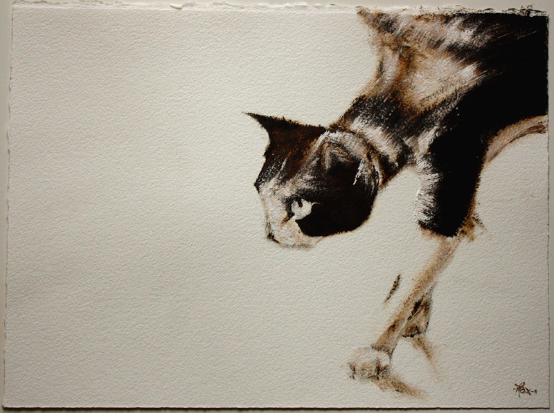 Le chat