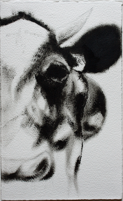 La vache 01