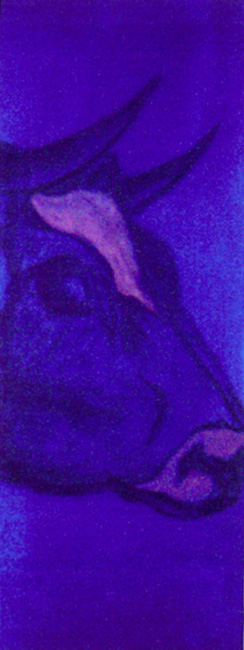 Quadriptype vache 01