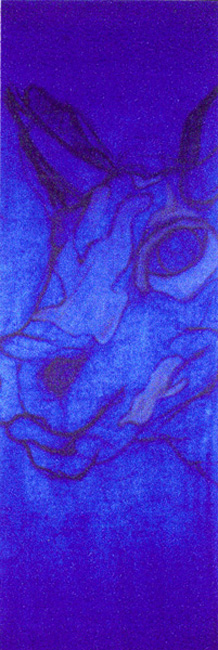 Quadriptype vache 03