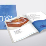 Rapport Annuel Agence De L'Eau 01