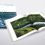 Rapport Annuel Agence De L'Eau 03