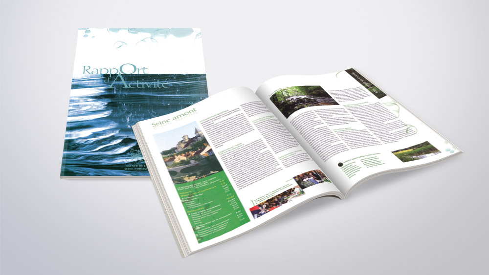 Rapport Annuel Agence De L'Eau 04